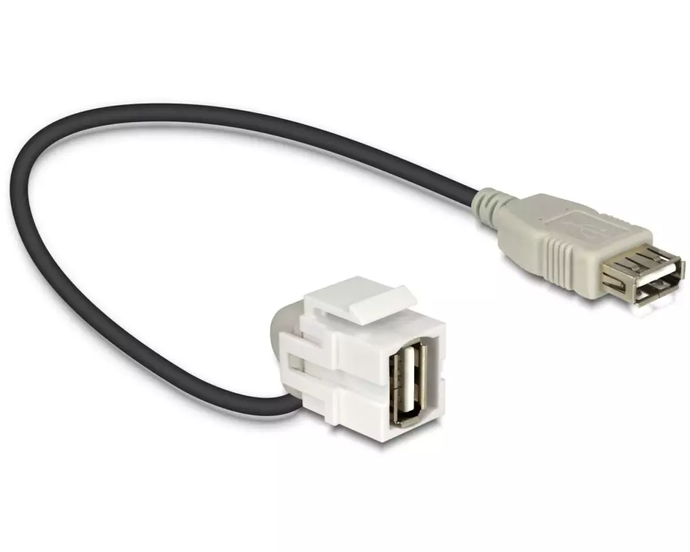 Delock Keystone-Modul USB2.0, A - A, (f-f) 110° gewinkelt, Weiss