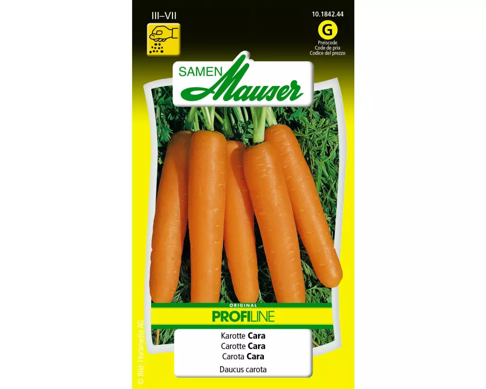Samen Mauser Samen Profiline Karotte Cara