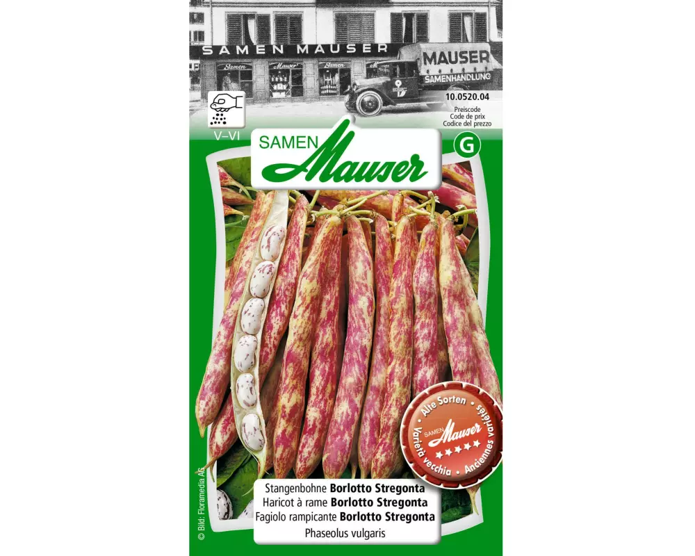 Samen Mauser Samen Alte Sorte Stangenbohne Borlotti Stregonta