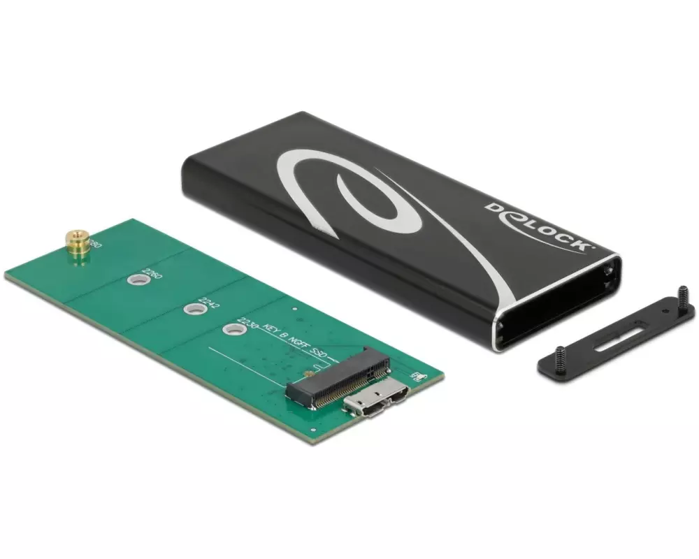 Delock Externes Gehäuse SuperSpeed USB 3.2 Gen 2 - SATA SSD M.2