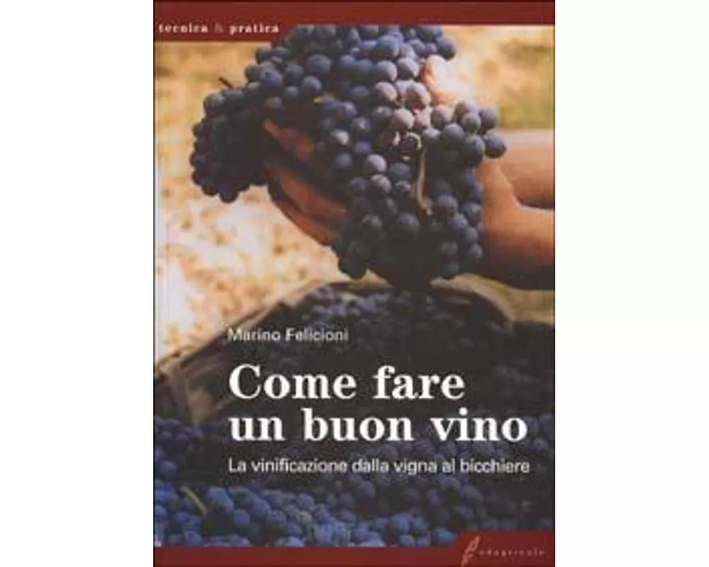 Come fare un buon vino. La vinificazione dalla vigna al bicchiere