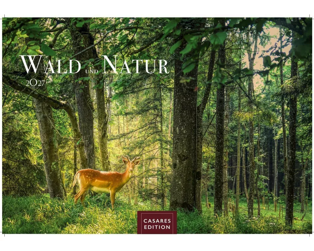 Wald & Natur Kalender 2027 - Wandkalender | Fotokalender Naturkalender 24x 35cm - Natürliche Schönheit & Ruhe für jeden Monat