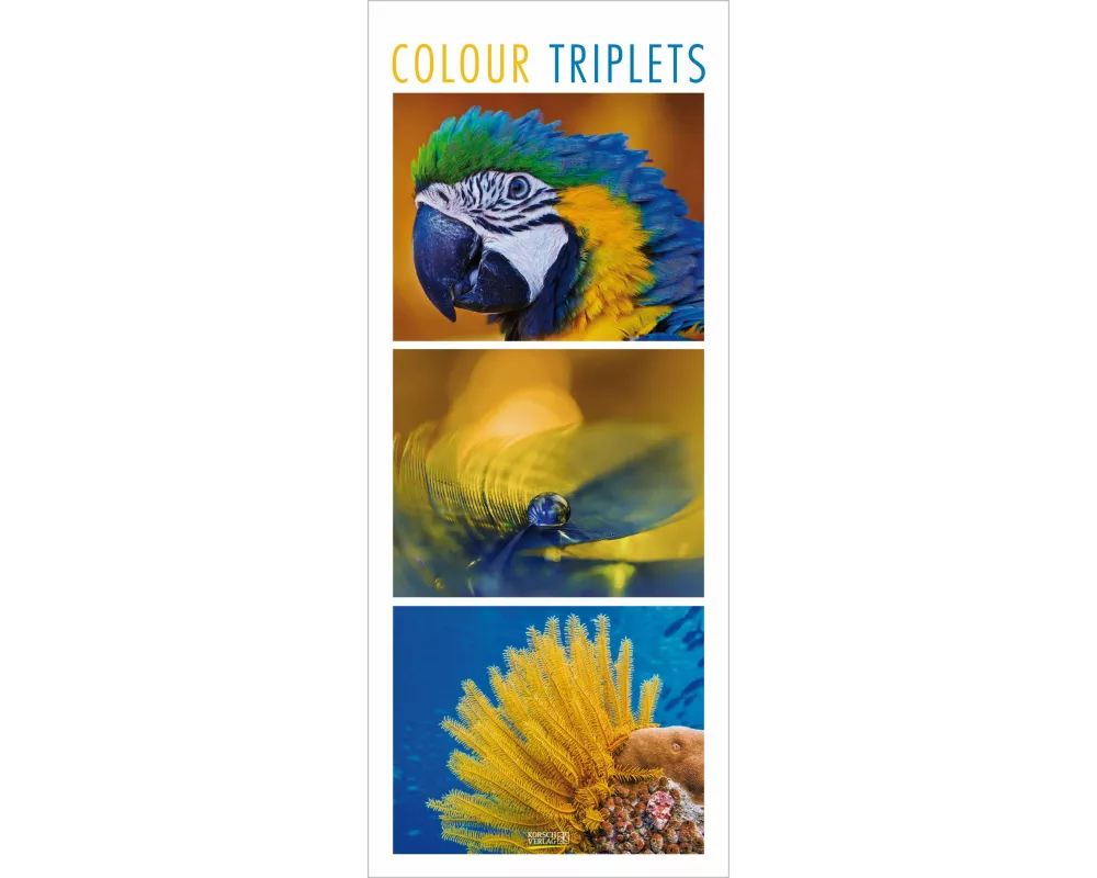 Colour Triplets 2027