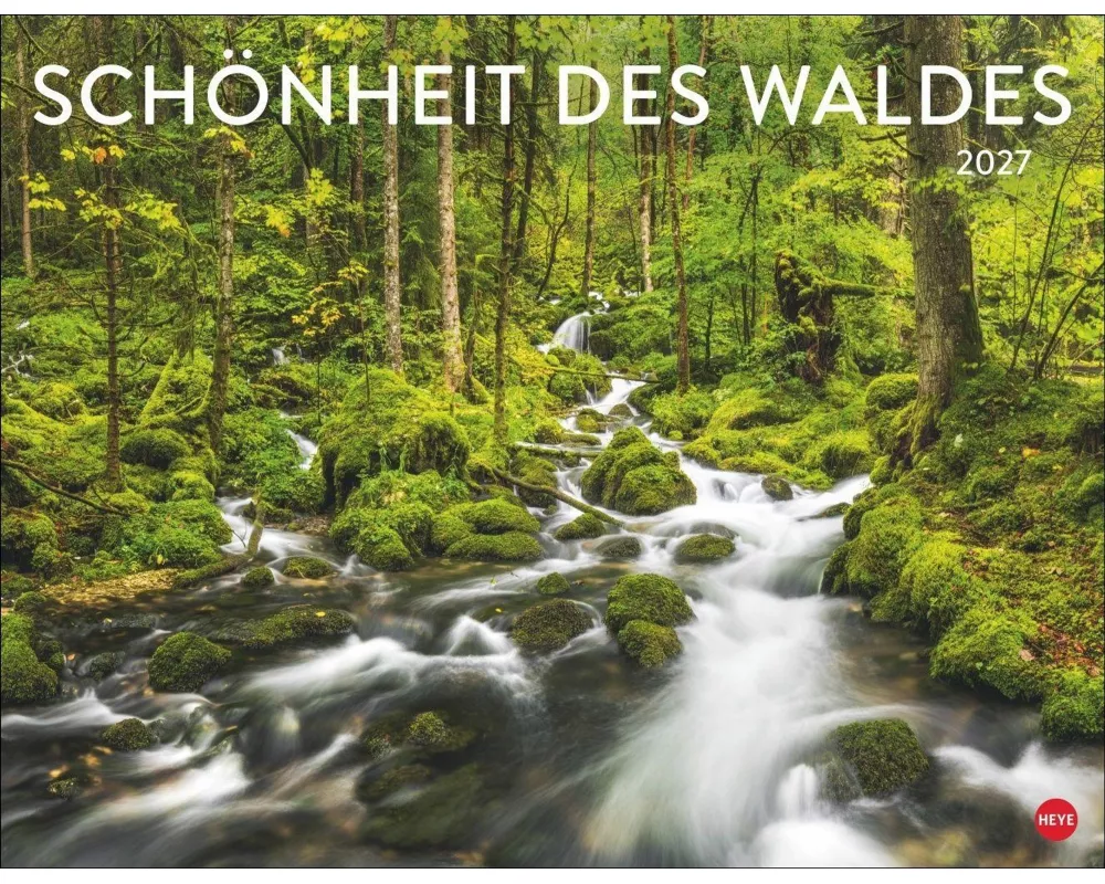 Schönheit des Waldes Posterkalender 2027