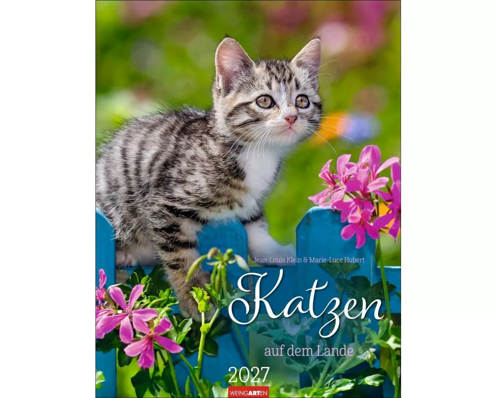 Katzen auf dem Lande Kalender 2027