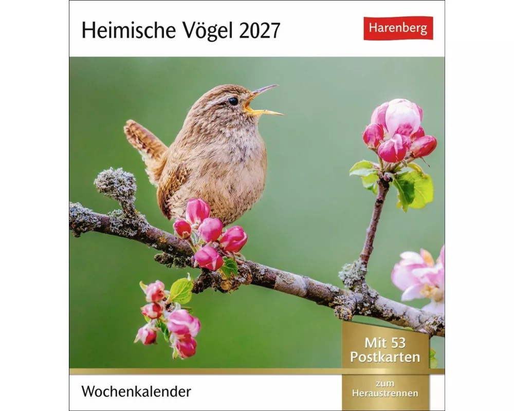 Heimische Vögel Postkartenkalender 2027 - Wochenkalender mit 53 Postkarten