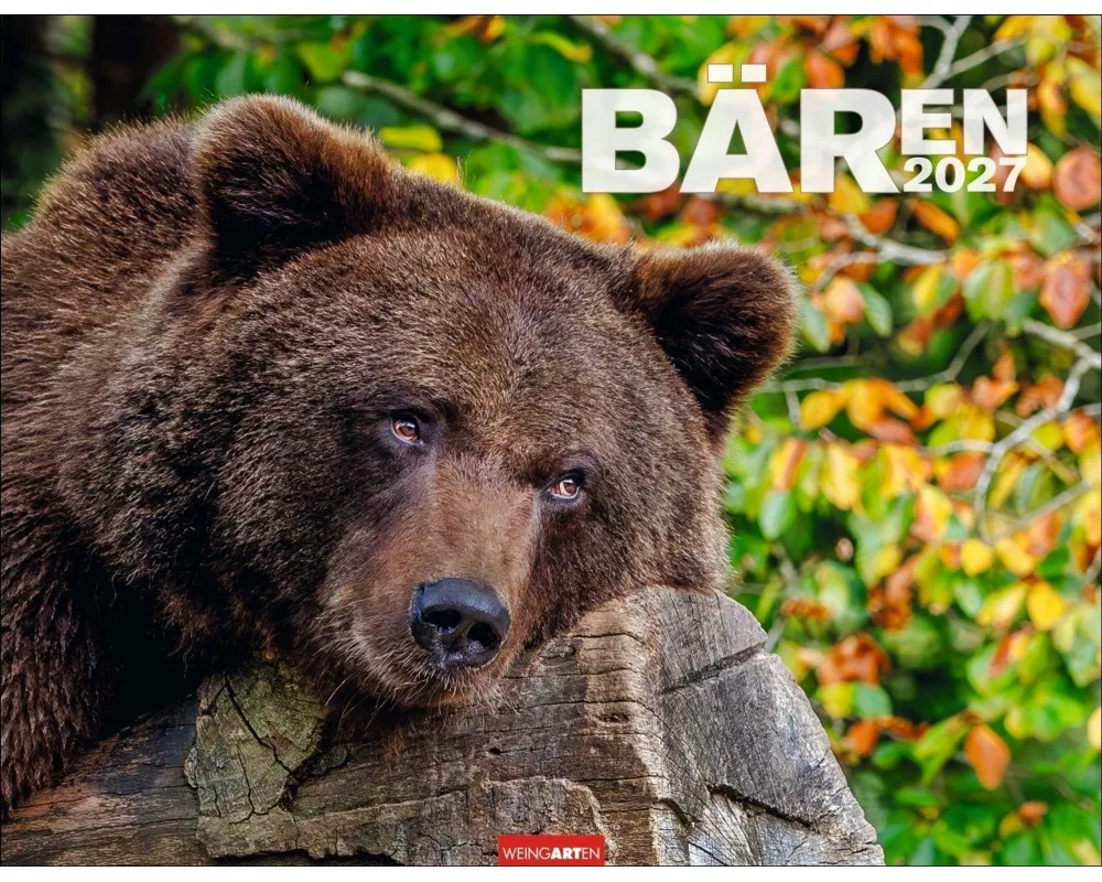 Bären Kalender 2027