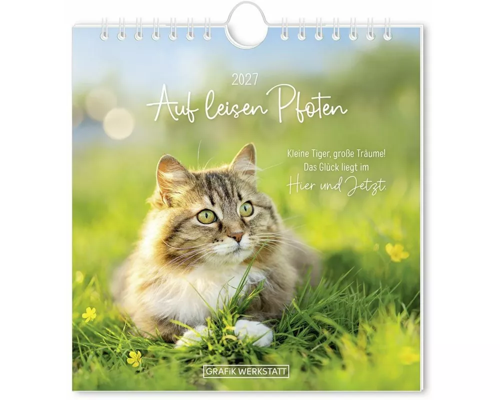 Postkartenkalender 2027 Auf leisen Pfoten