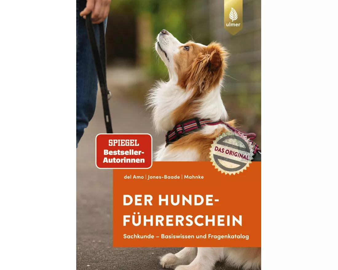 Der Hundeführerschein