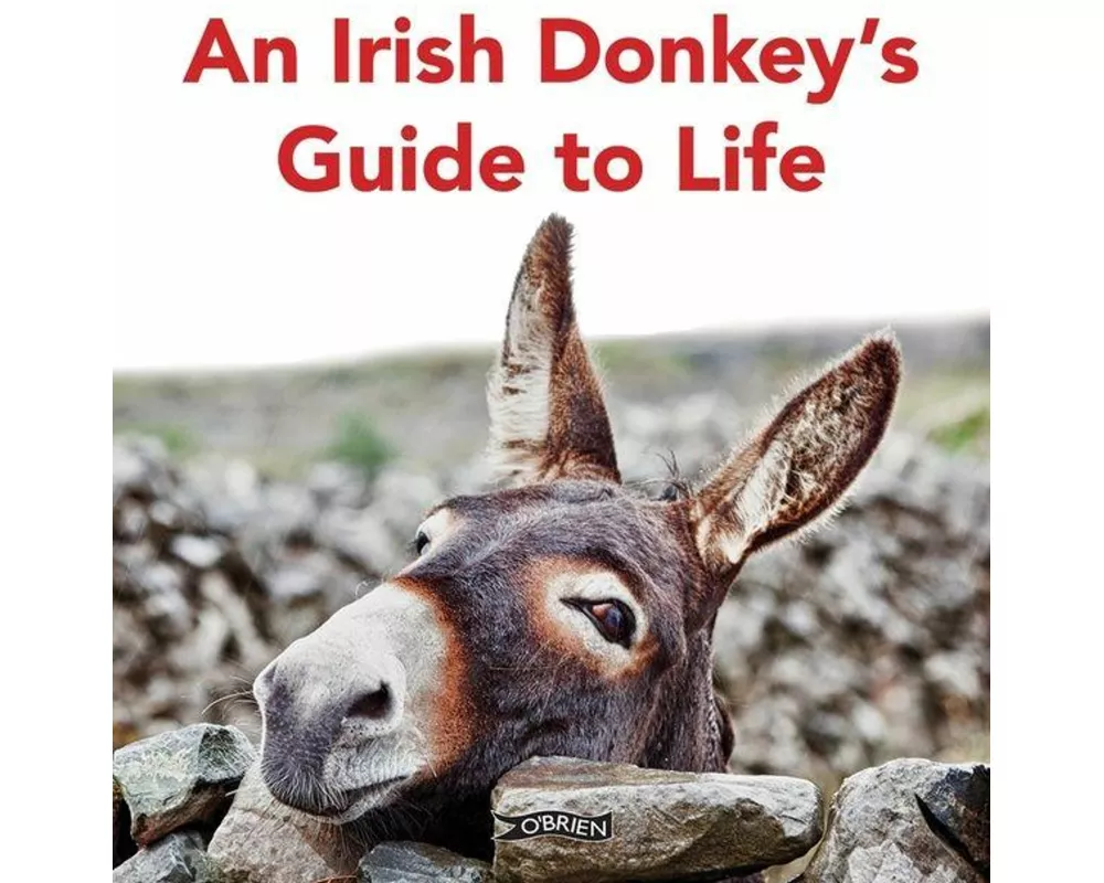 An Irish Donkey’s Guide to Life