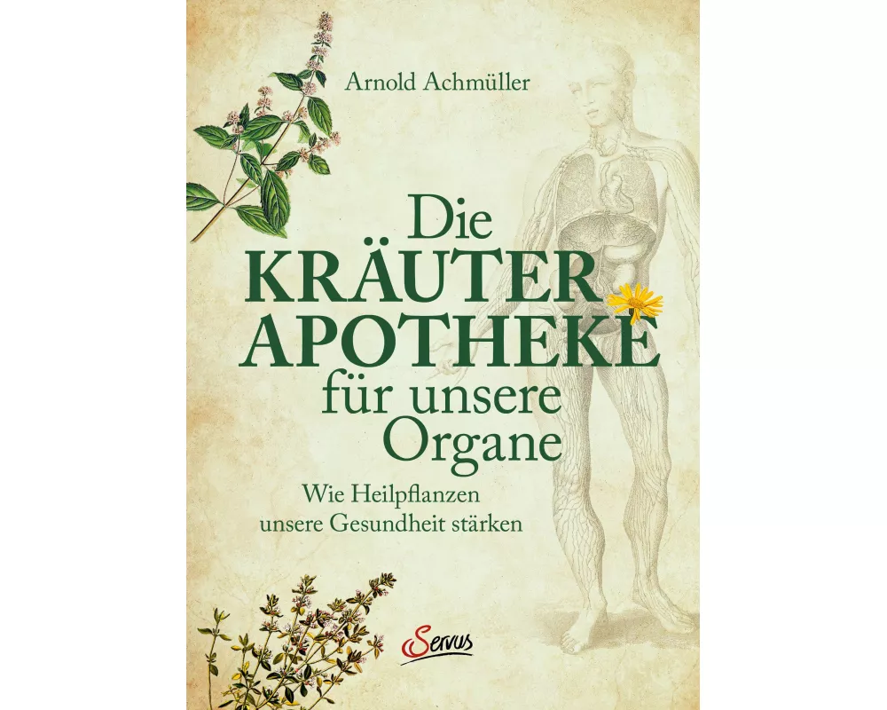 Die Kräuter-Apotheke für unsere Organe