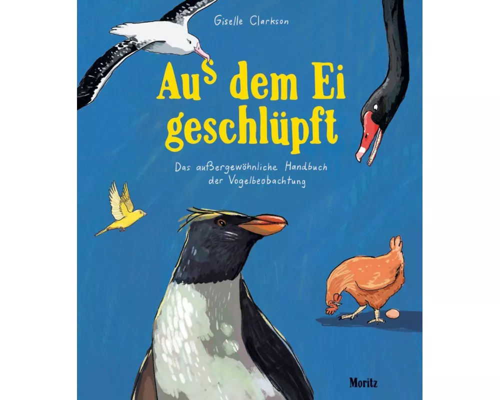 Aus dem Ei geschlüpft