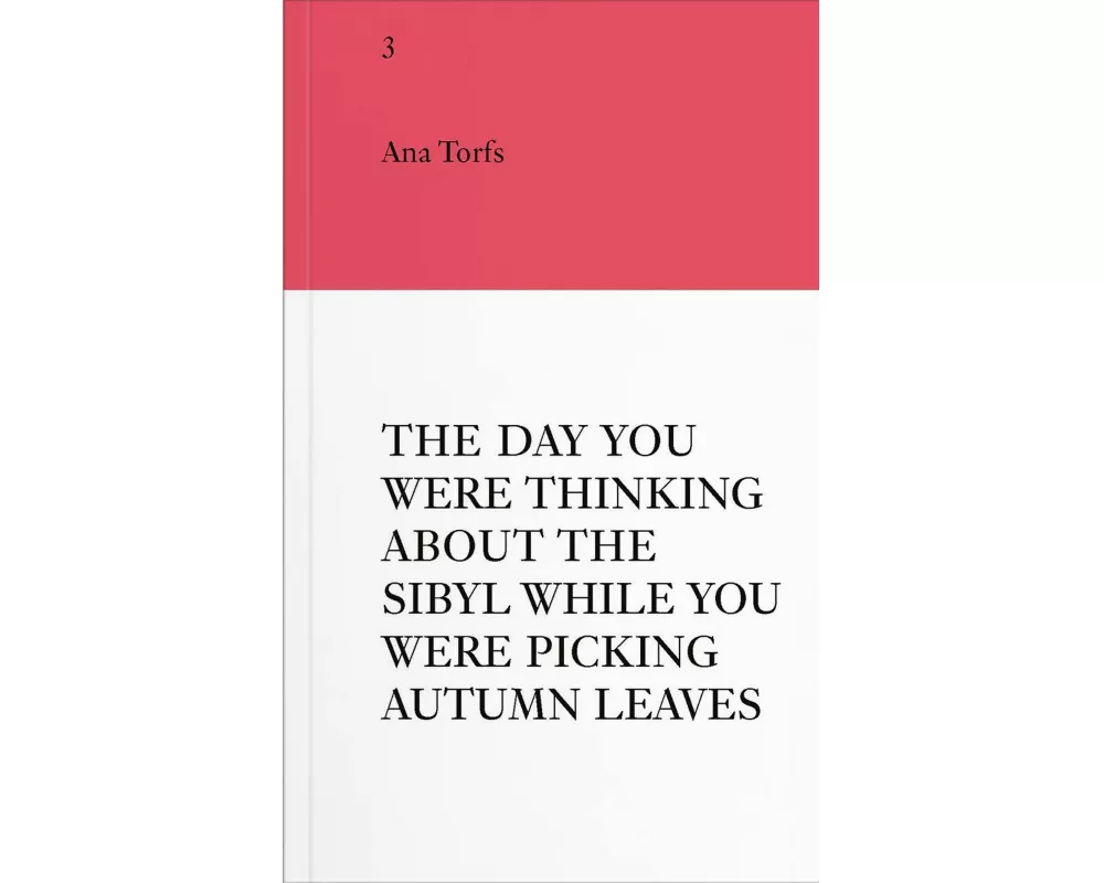 An Insert by Ana Torfs