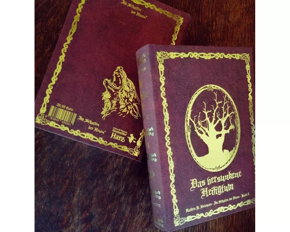 Im Schatten der Hexen VI