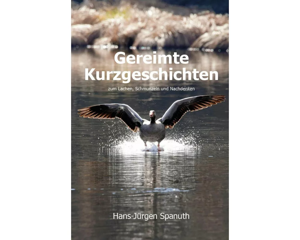 Gereimte Kurzgeschichten