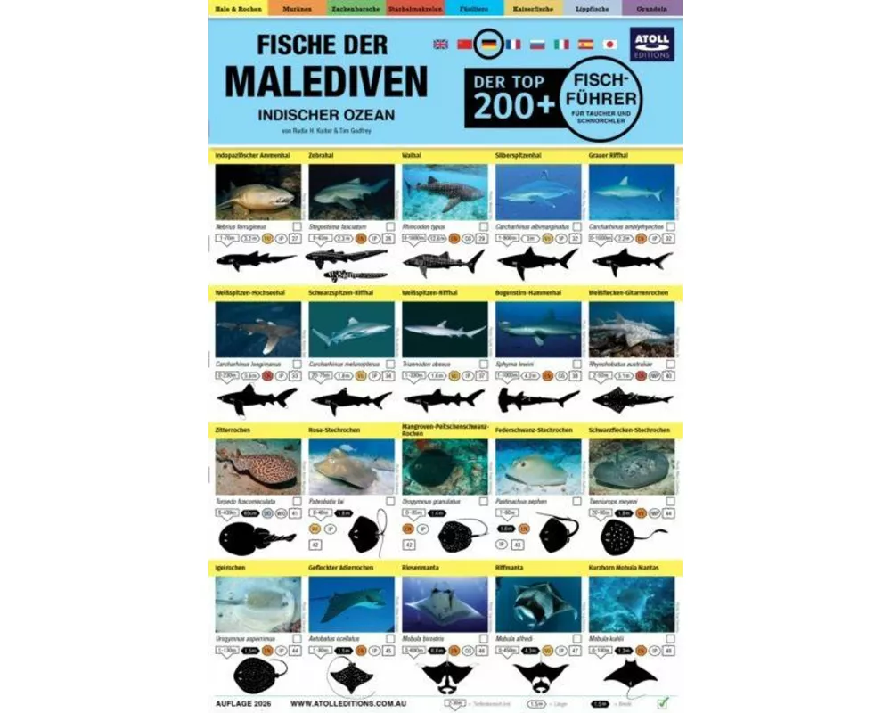 Malediven Fisch-Feldfuhrer