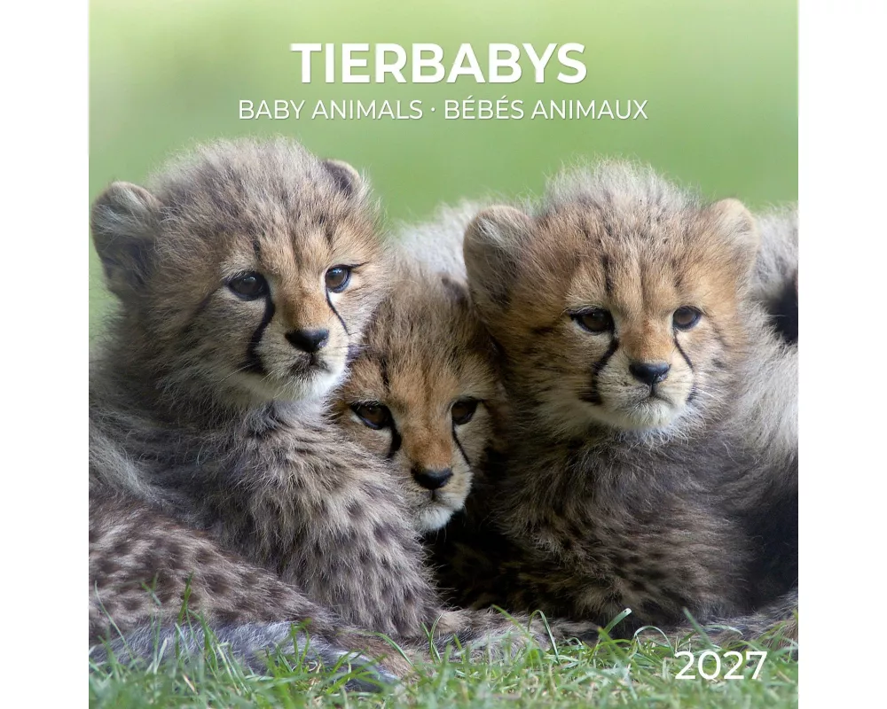 Tierbabys / Baby Animals 2027