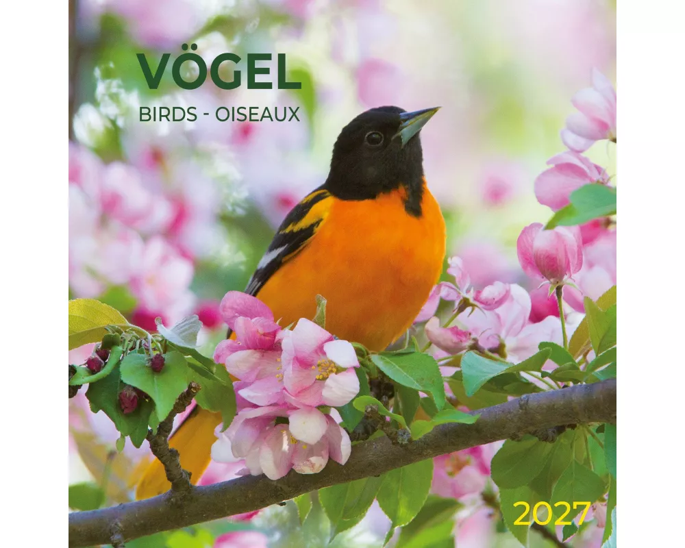 Vögel / Birds 2027