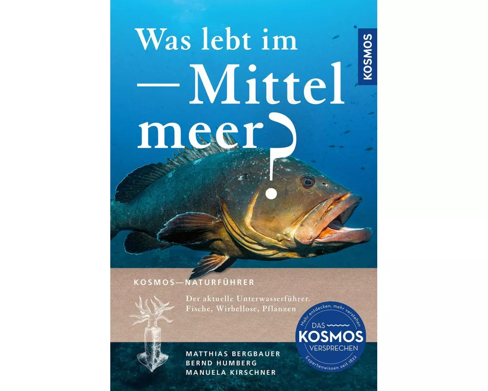 Was lebt im Mittelmeer?