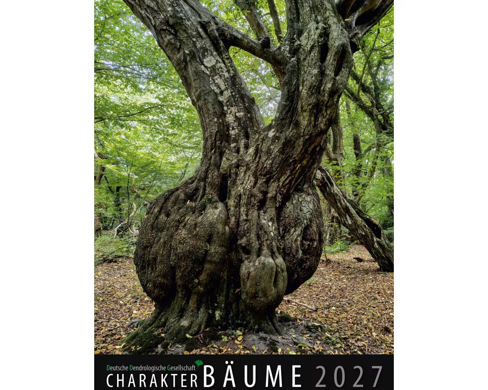 Charakter-Bäume 2027