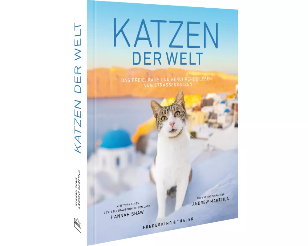Katzen der Welt