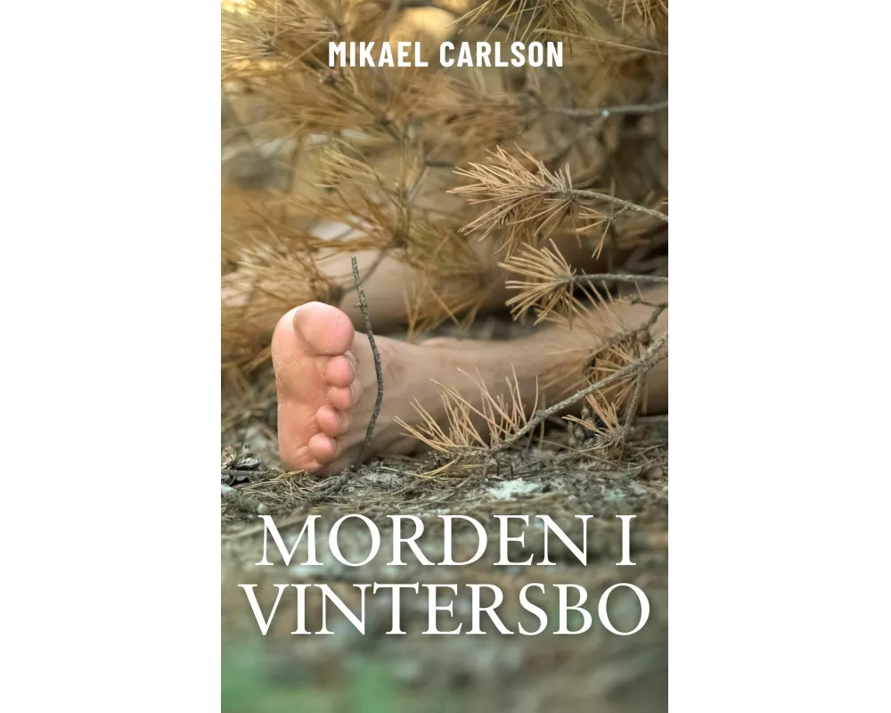 Morden i Vintersbo