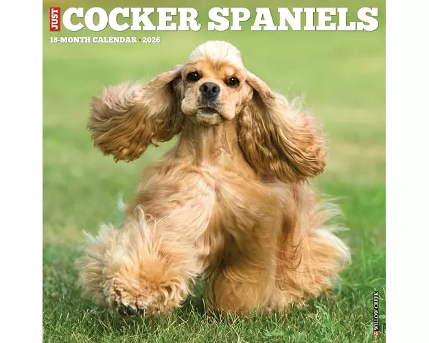 Cocker Spaniels 2026 Wall Calendar