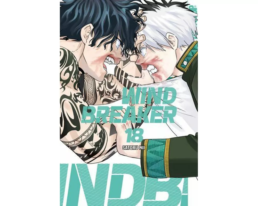 Wind Breaker 18
