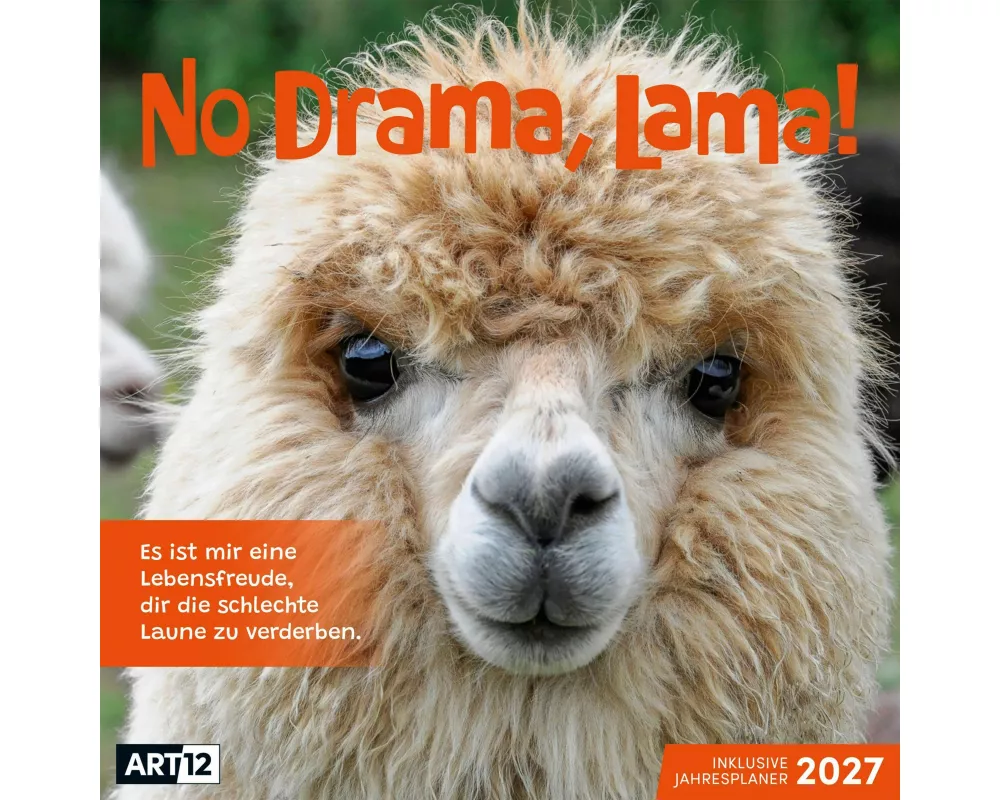 No Drama, Lama Kalender 2027 - 30x30 - Art12