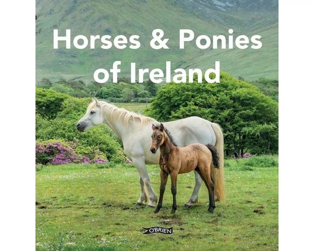 Horses and Ponies of Ireland