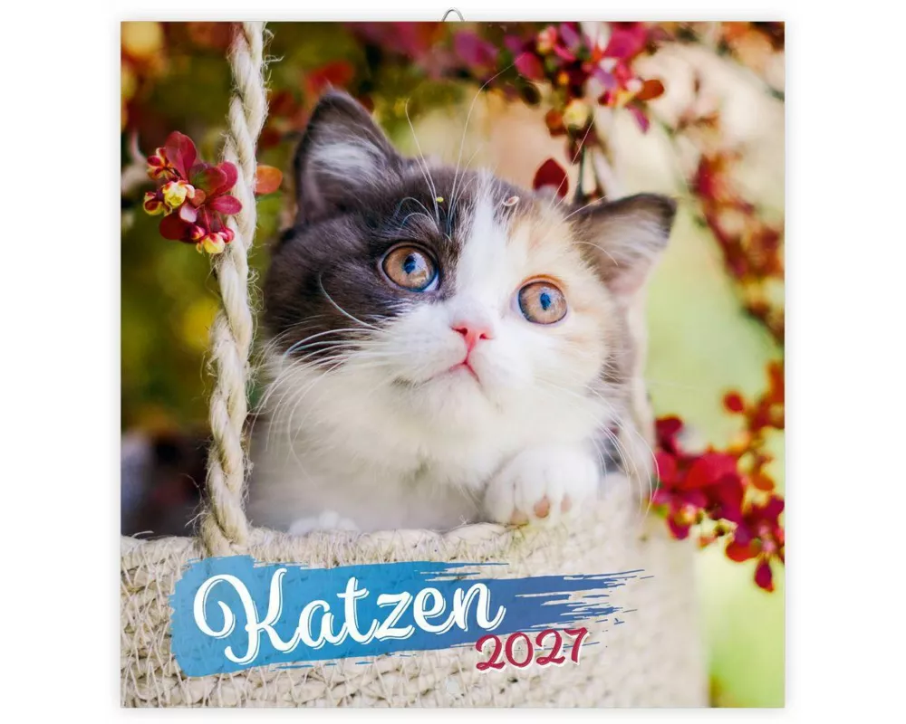TRÖTSCH - Broschürenkalender Katzen 2027