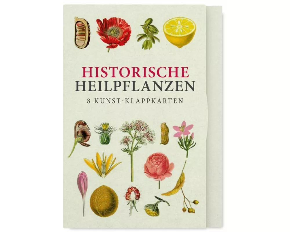 Historische Heilpflanzen - Acht Kunst-Klappkarten