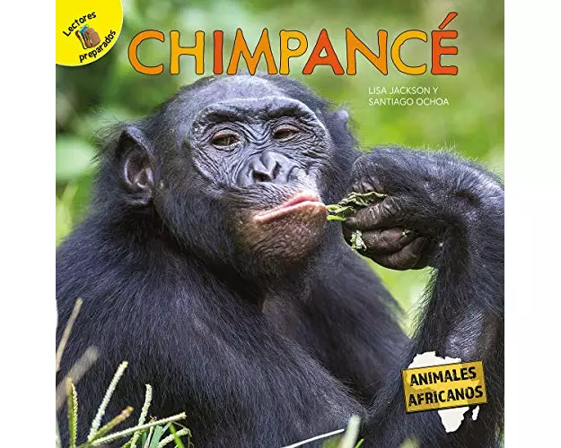 Chimpance