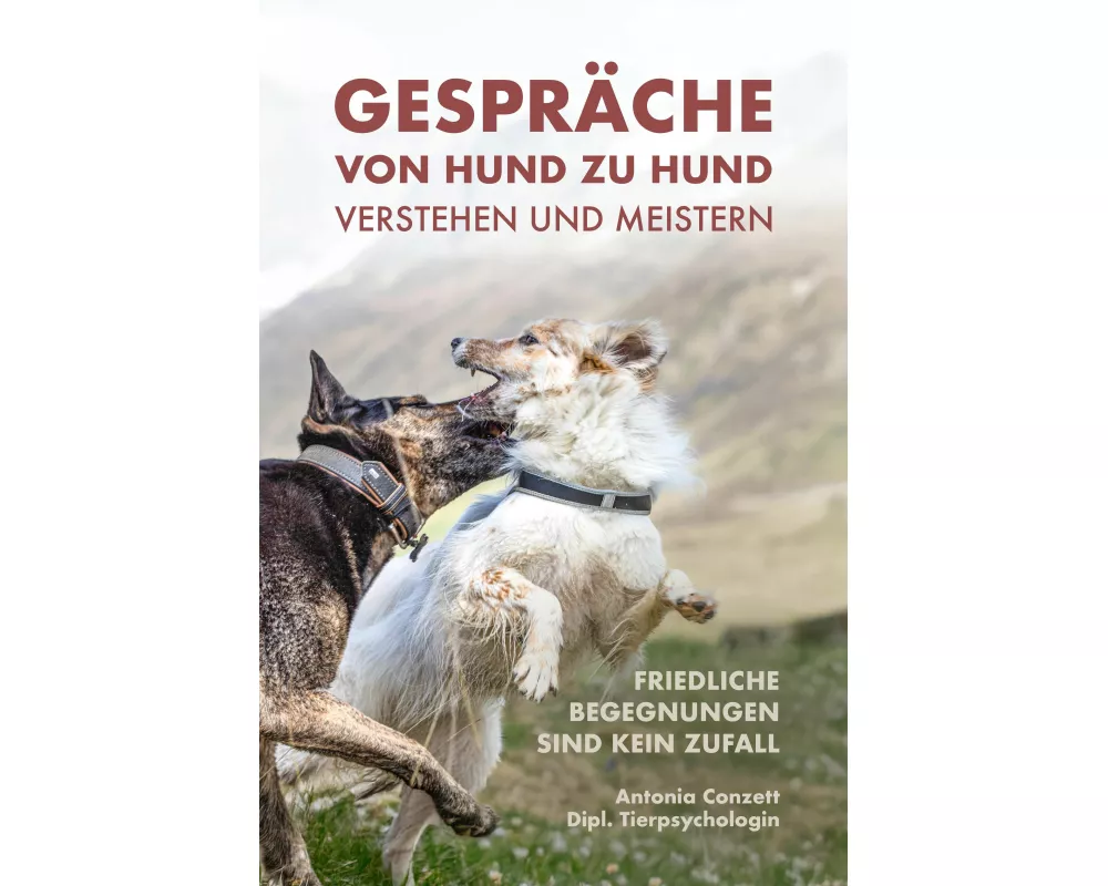Gespräche von Hund zu Hund verstehen und meistern