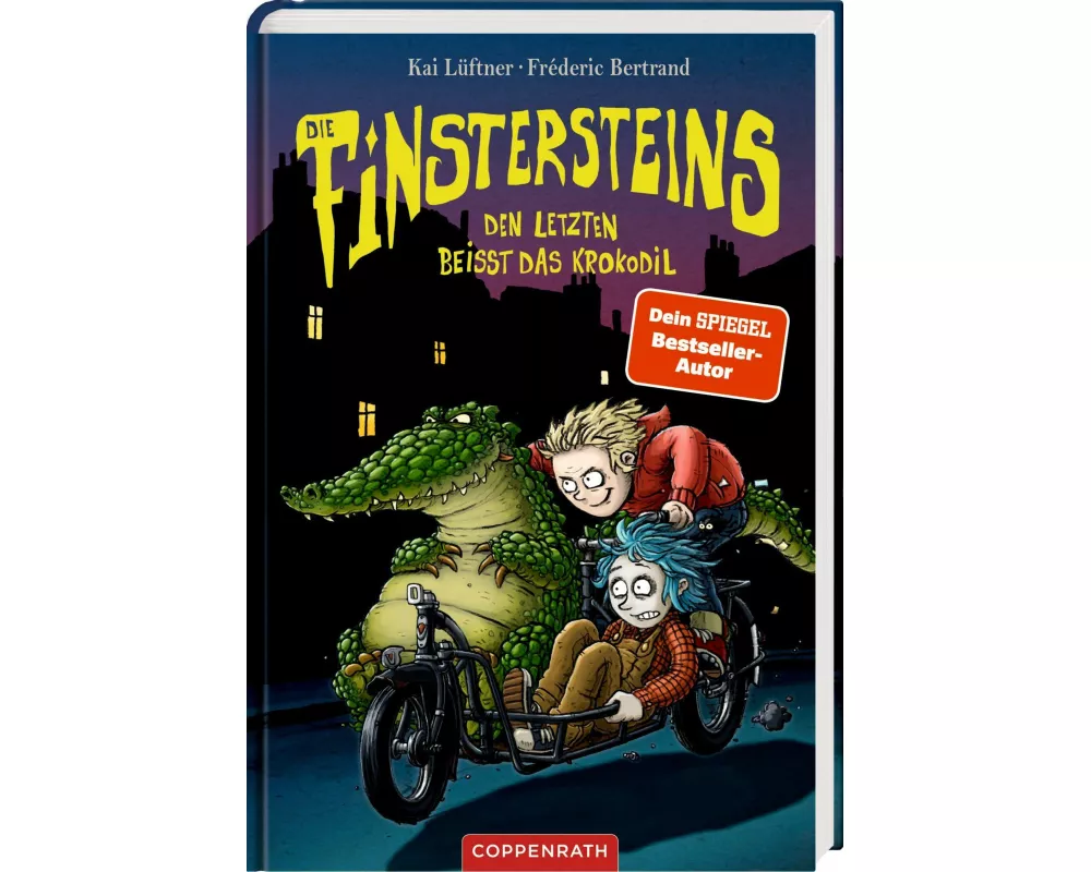 Die Finstersteins (Bd. 3)