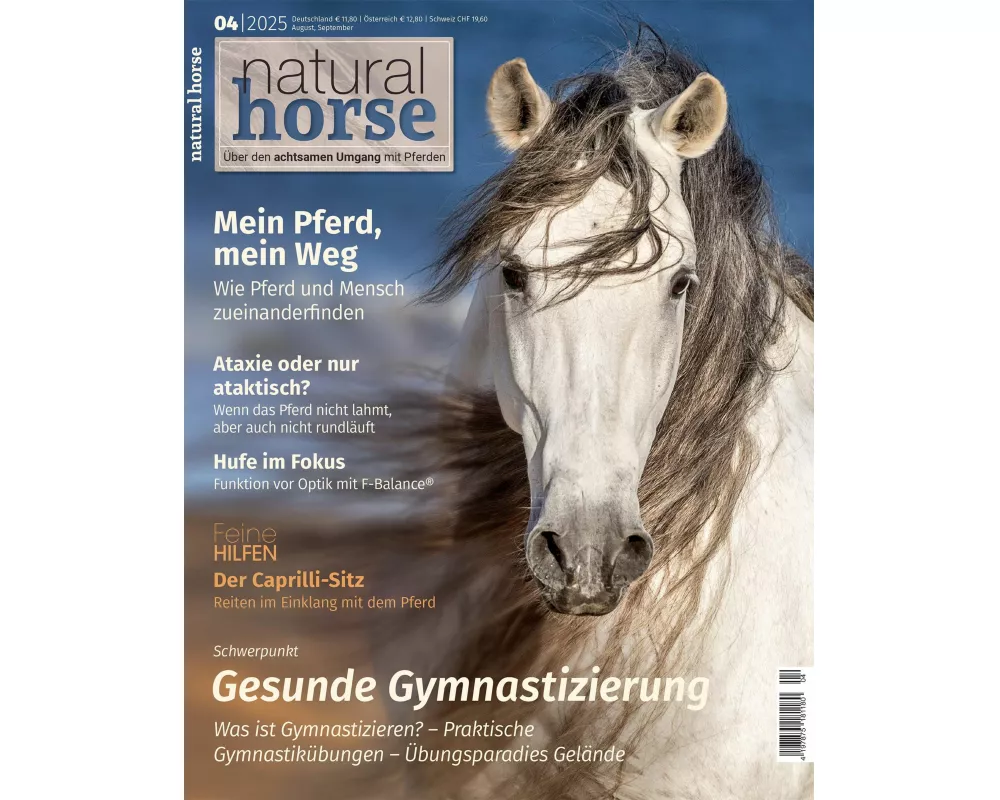 Natural Horse 58