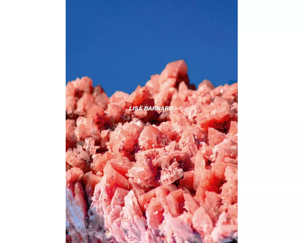 After Nature | Ulrike Crespo Photography Prize 2025