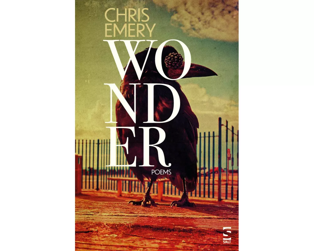 Wonder