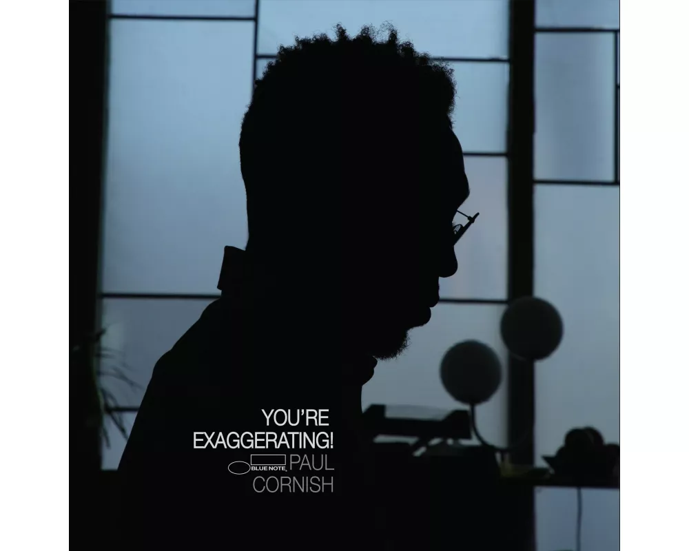 You're Exaggerating!