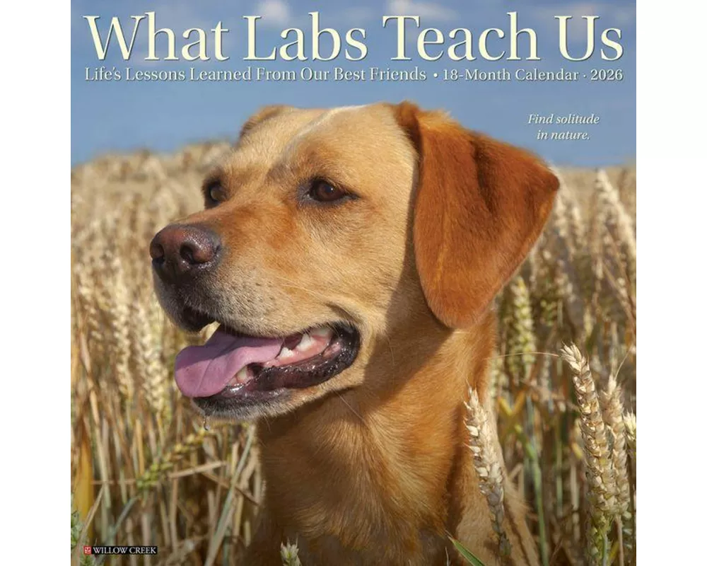What Labs Teach Us 2026 12 X 12 Wall Calendar