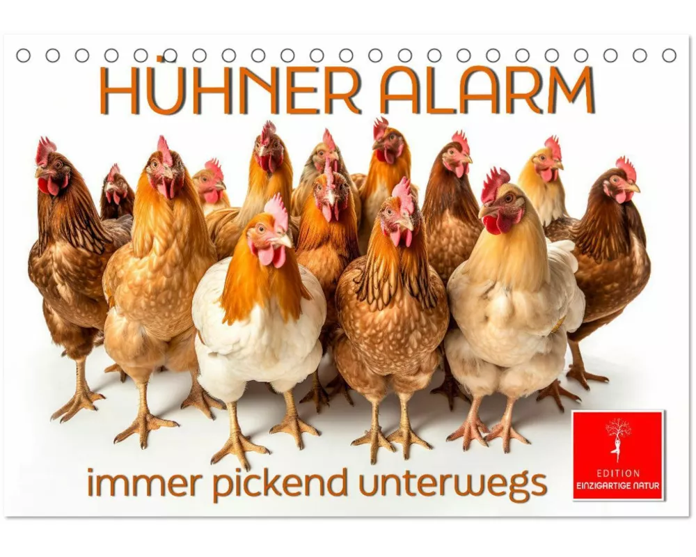 Hühner Alarm (Tischkalender 2026 DIN A5 quer), CALVENDO Monatskalender