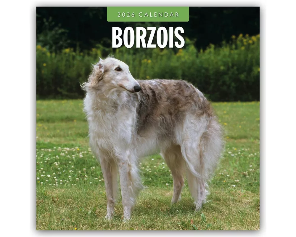 Borzois 2026 Square Wall Calendar