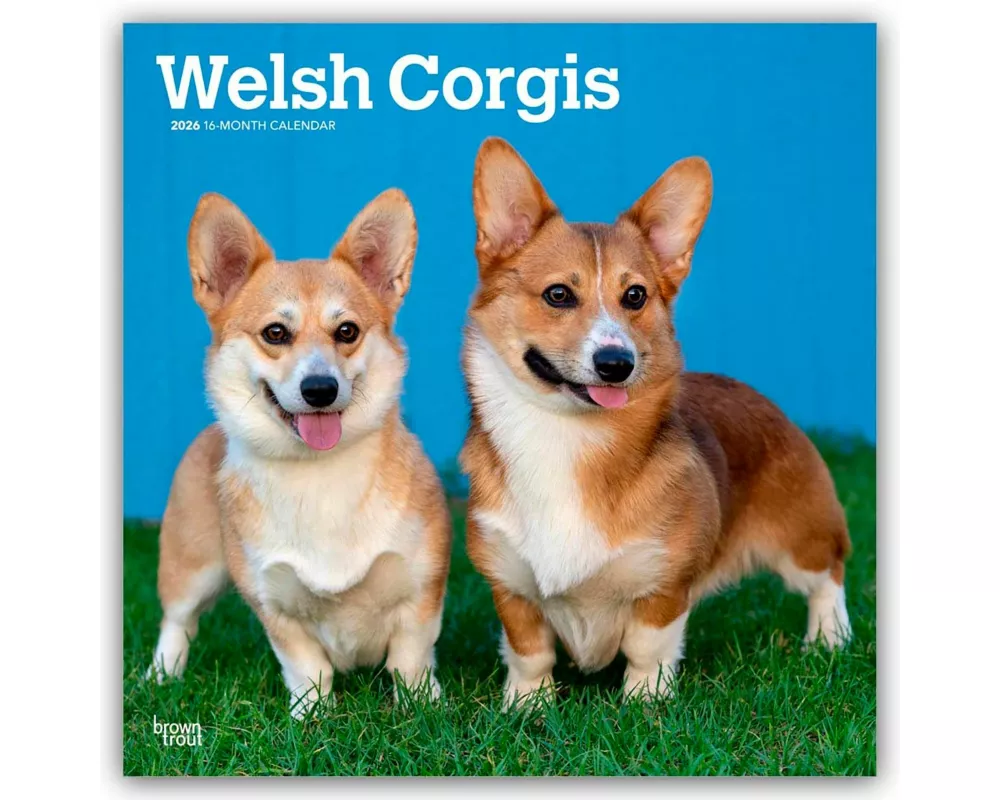 Welsh Corgis - Welsh Corgi 2026 - 16-Monatskalender