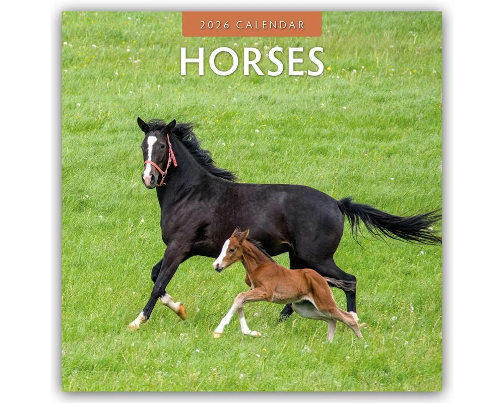 Horses 2026 Square Wall Calendar