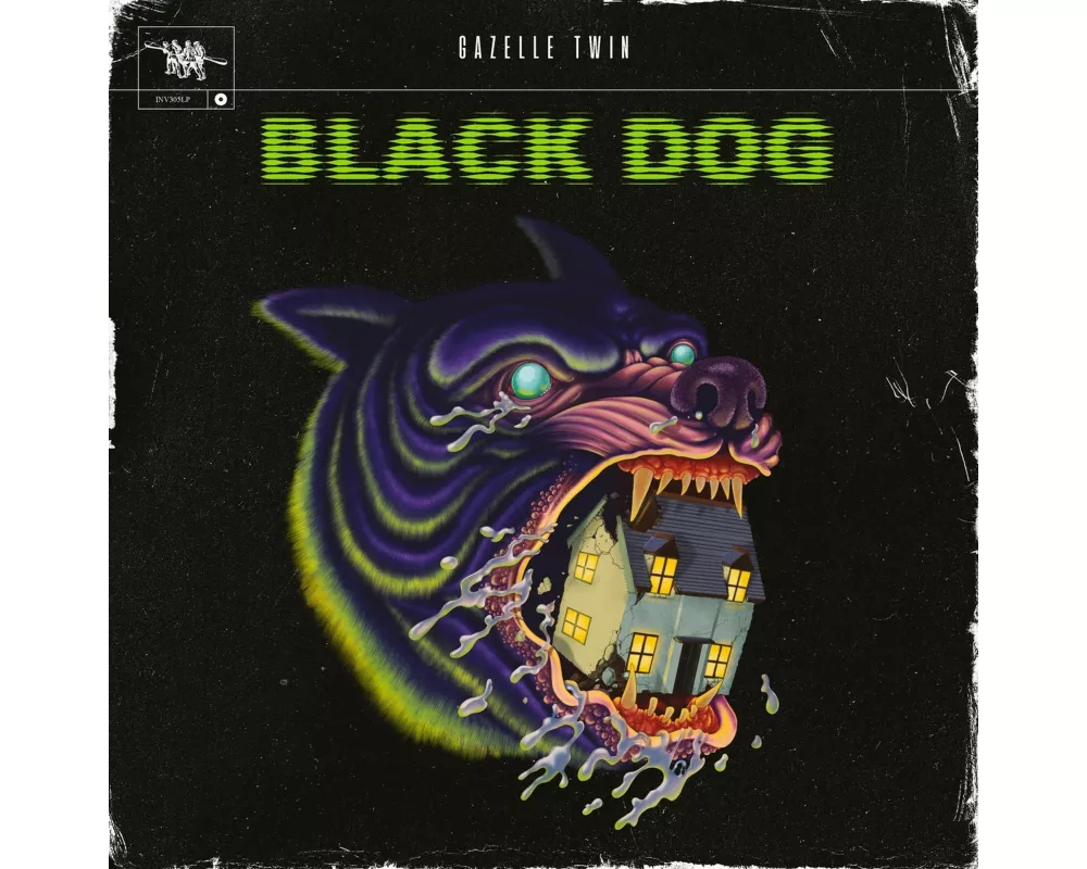Black Dog