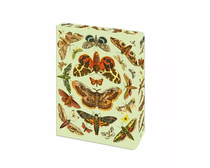 The Moth Journal