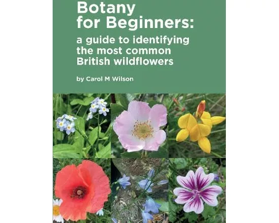 Botany for Beginners