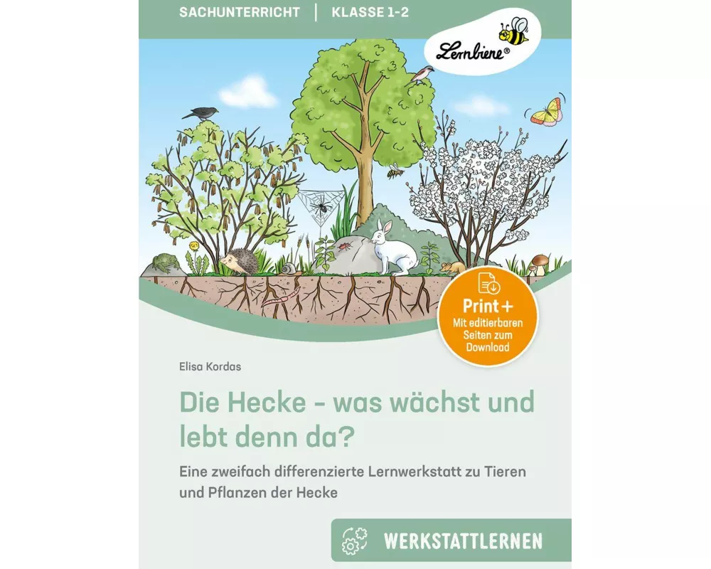 Die Hecke - was wächst und lebt denn da