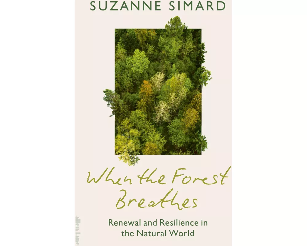 When the Forest Breathes