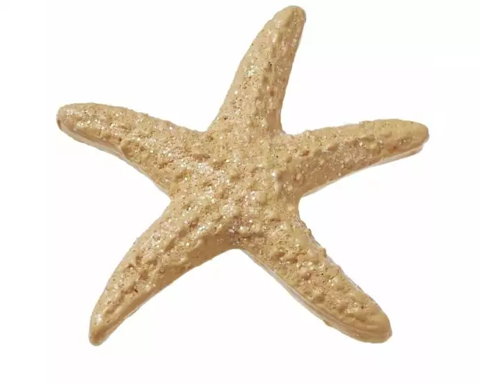 HobbyFun 3D-Sticker Seestern mit Klebepunkten 6 Stück